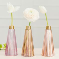 three vases with flowers in them sitting on a table