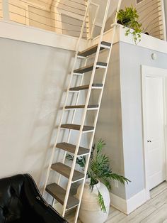 a living room with a couch, stairs and potted plant on the floor in front of it