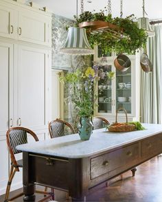 a kitchen island with potted plants hanging from it