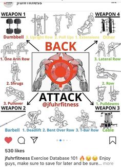 an image of the back and arm workout chart