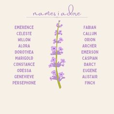 the names of flowers are shown in this graphic style, and it's also labeled with