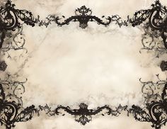 an ornate frame with black and white flowers on it's edges, in the middle of a grungy background