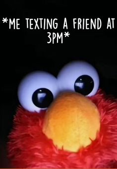 a close up of a stuffed animal with the words me texting a friend at 3pm