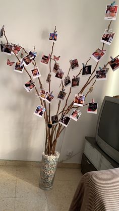 a vase filled with branches and pictures next to a tv