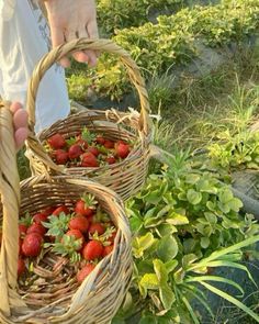 two baskets filled with strawberries sitting on the ground