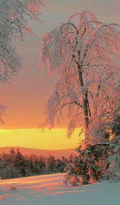 the sun is setting behind some snow covered trees