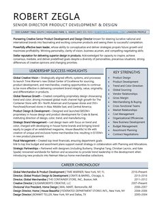 a professional resume template for an it project manager