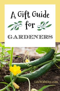 cucumbers growing in dirt with the words a gift guide for gardeners