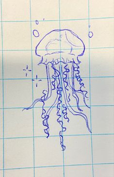 a drawing of a jellyfish on graph paper