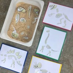 three different types of paper with pictures of dinosaurs and skeletons in them on the floor