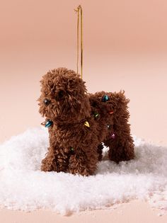 two brown poodles sitting on top of snow covered ground next to each other