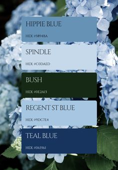 some blue flowers and green leaves are in color swatches