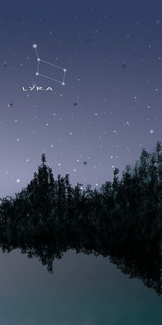 the sky is filled with stars and some trees in front of it, as if they were floating on water