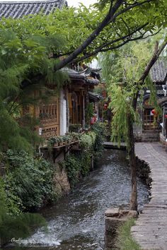 a river running through a lush green forest filled with lots of trees and bushes next to buildings