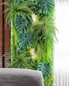 a living room with green plants on the wall