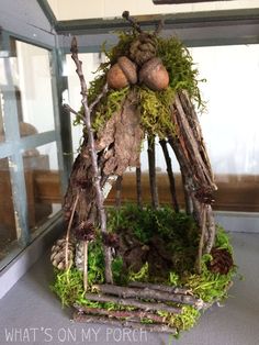 a sculpture made out of branches and moss with nuts on top in front of a window