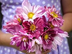 a woman holding a bouquet of pink and white flowers in her hands with polka dots on the background