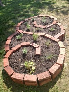 a circular brick garden bed with plants growing in the center and dirt on the ground