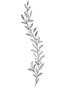 Dainty Vine Tattoo, Garland Tattoo, Leaf Vine Tattoo, Ramos Tattoo, Stencil Outline, Tattoo Background, Stylish Tattoo