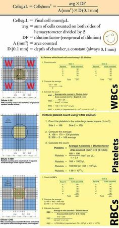 a poster with instructions on how to use the grids for data visualizing and processing