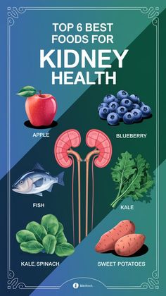 Boost your kidney health naturally with these six powerful foods! From antioxidant-rich blueberries to potassium-packed sweet potatoes, these are the best choices for supporting kidney function. Save this pin to your health or wellness board for easy reference! #KidneyHealth #HealthyLiving #NutritionTips Foods For Kidney Health, Foods Good For Kidneys, Food For Kidney Health, Potassium Rich Foods, Wellness Board, Kidney Recipes, Kidney Function, Sweet Potato Spinach, Easy Reference