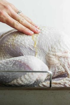 a person holding a turkey in their hand while it is on the counter with other food