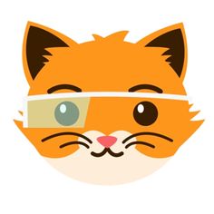 an orange cat with glasses on it's face