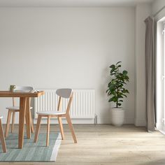 a dining room table with two chairs and a potted plant in the corner next to it