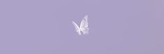 a white butterfly flying in the sky on a lilac background with only one wing visible