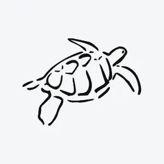 a black and white drawing of a turtle