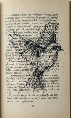 an open book with a drawing of a bird on it's cover and the words in