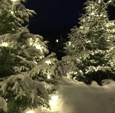 snow covered trees with lights in the background