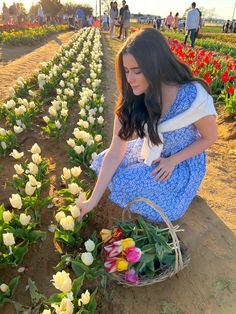 a woman kneeling down to pick flowers in a field