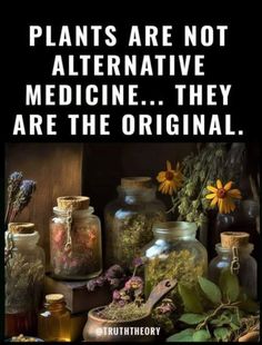 Everyday Magic, Holistic Diet, Food Matters, Herbal Apothecary, Natural Healing Remedies, Health Info, Natural Medicine, Healthy Alternatives, Alternative Medicine