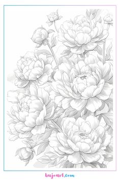 a drawing of some flowers on a white background