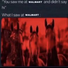 two horses standing next to each other in front of a red background with the words, you saw me at walmart and didn't