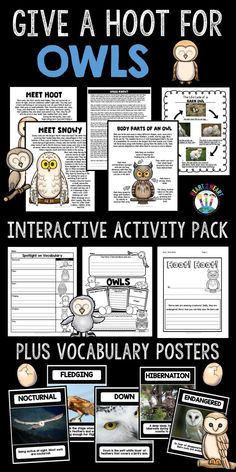 owls activity pack with text and pictures to help students learn how to use the owl's