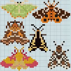 the cross stitch pattern shows different types of moths