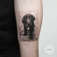 a black and white photo of a dog on the arm