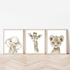 three pictures of animals are on the wall next to a cheetah, elephant and giraffe