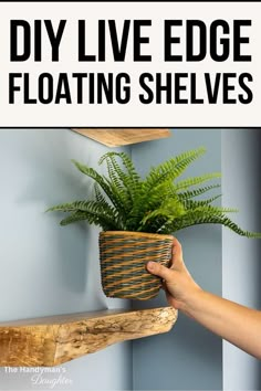 a hand holding a plant in a basket on a shelf with text overlay reading diy live edge floating shelves