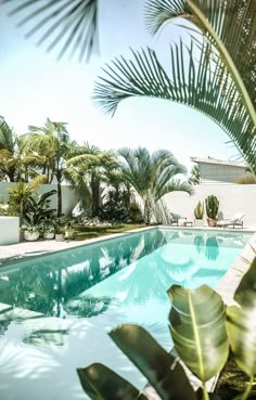 an empty swimming pool surrounded by palm trees