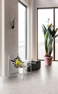 a chair and potted plant in front of large windows