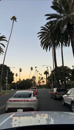 cars driving down the road with palm trees in the background