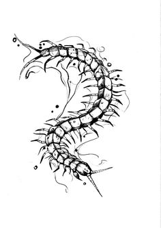 a black and white drawing of a seahorse on a white sheet with water droplets