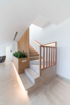 the stairs are made of wood and have planters on them