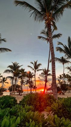 the sun is setting behind palm trees on the beach in front of an oceanfront