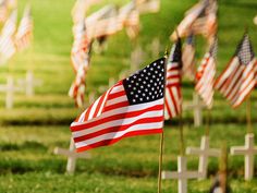 an american flag is in the grass with other flags and crosses behind it that reads, celebrate memorial day