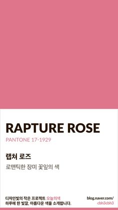 the cover of rapture rose's album, featuring an image of a pink background