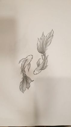 pencil drawing of two goldfish swimming side by side